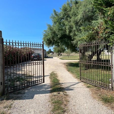 « La Parenthese » Gite En Camargue Arles Exterior photo